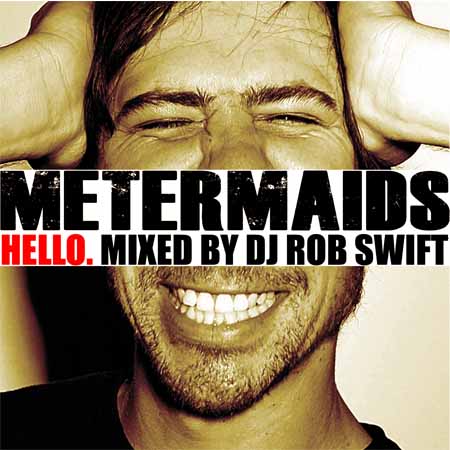 Metermaids