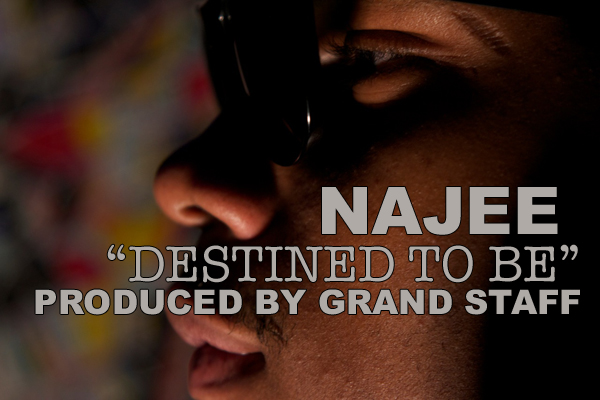 Najee 'Destined to Be'
