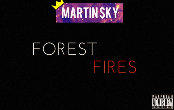 Martin $ky: Forest Fires