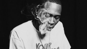 YP_newpic YP Returns with “Nothing”