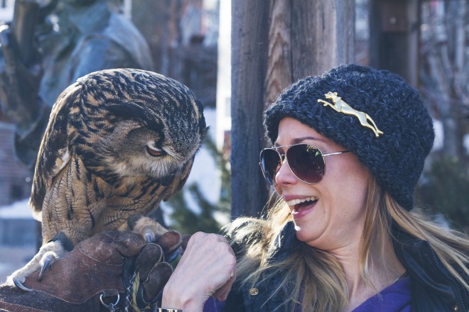 Owl on Main Street in Park City, UT during Sundance Film Festival 2014 by Virgil Solis