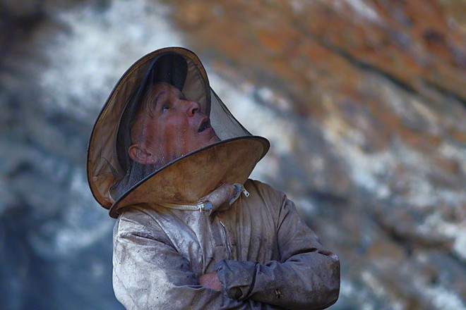 Honey Hunters captured by Andrew Newey