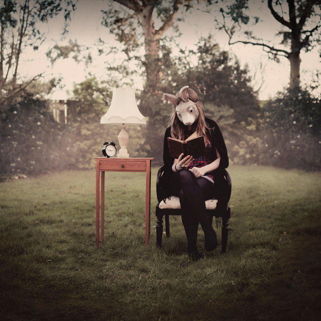Laura Williams Photography