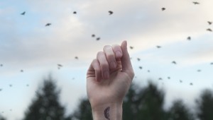 "Tiny Tattoos" by Austin Tott