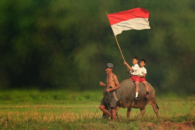 Life in Indonesia by Herman Damar