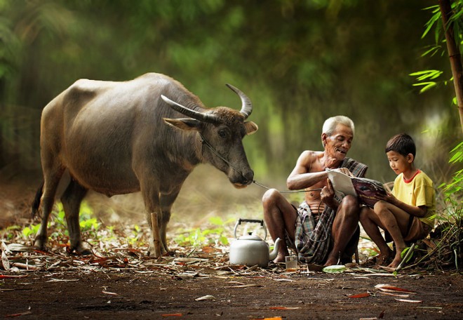 Life in Indonesia by Herman Damar