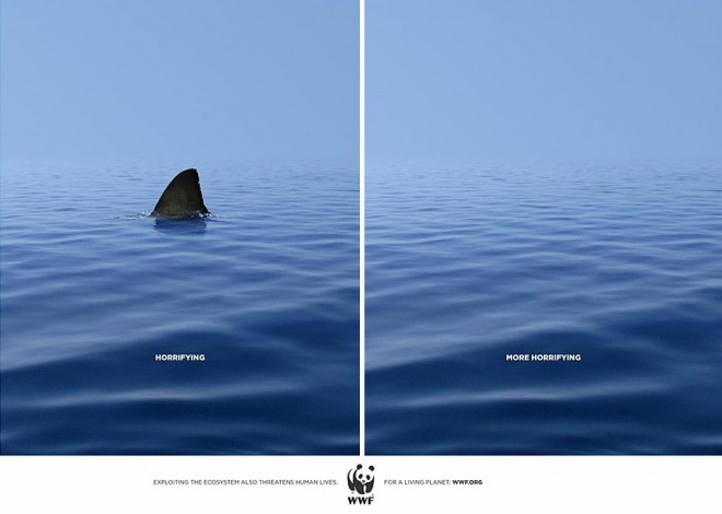 Photos of ads.