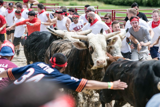 The Great Bull Run by Bryan Lamb