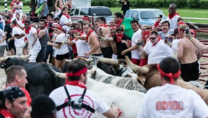 The Great Bull Run by Bryan Lamb