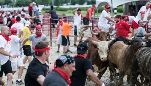 The Great Bull Run by Bryan Lamb