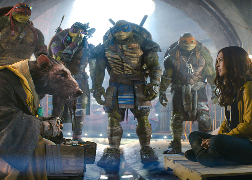 Teenage Mutant Ninja Turtles