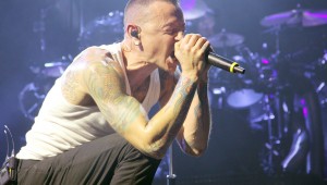 Linkin Park at WKQX Piqniq by Vanessa Bly