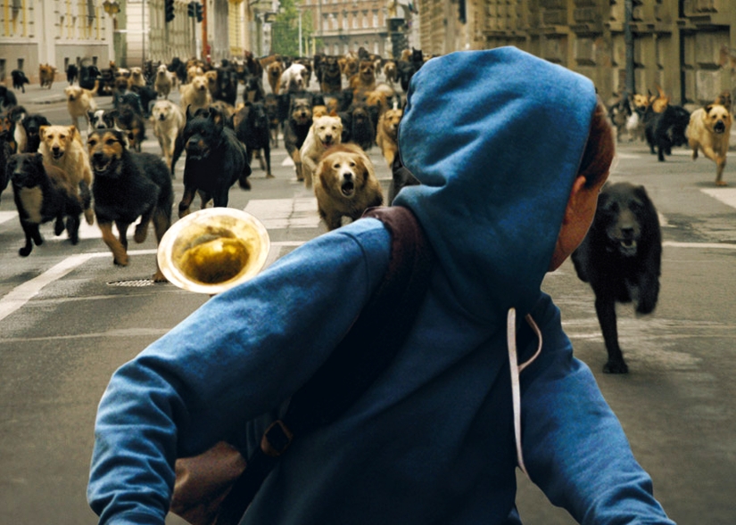 A climactic scene from White God directed by A review of White God (Fehér isten), a Hungarian political parable about race/immigration with a bunch of dogs directed by Kornél Mundruczó
